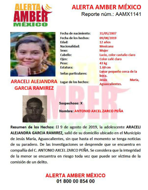 La ficha emitida para localizar a Araceli Alejandra Garc&iacute;a Ram&iacute;rez