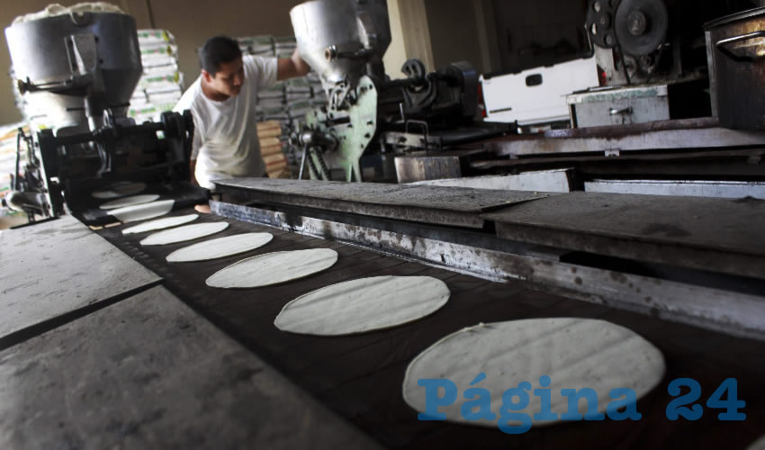 Se espera que no haya aumento en el precio de la tortilla (Foto: Archivo/ Rashide Frias/ Cuartoscuro)