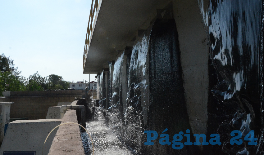 Se han instalado 14 humedales en escuelas de la capital, lo que ha permitido reusar el agua y fomentar en las nuevas generaciones el cuidado del medio ambiente