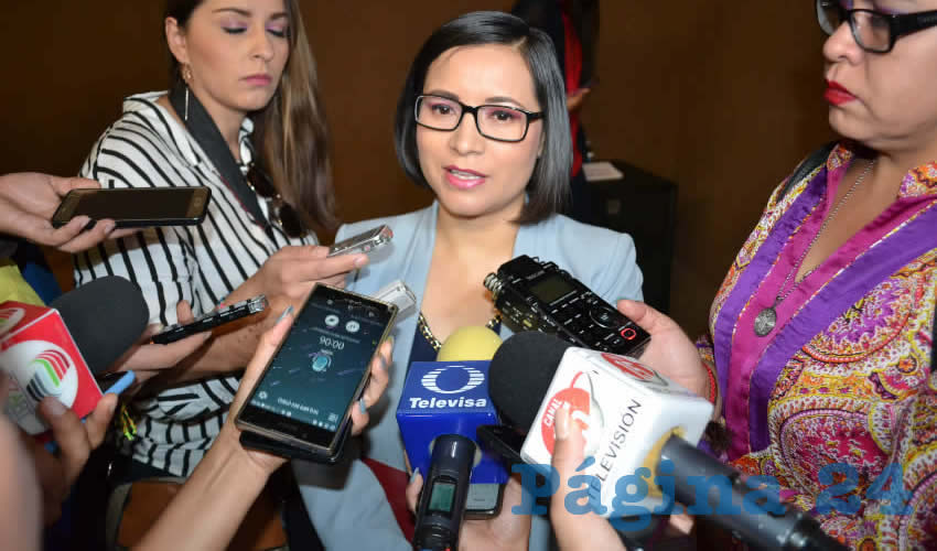 Luz Domínguez Campos, presidenta de la Comisión de Derechos Humanos del Estado de Zacatecas (CDHEZ) (Foto: Archivo Página 24)