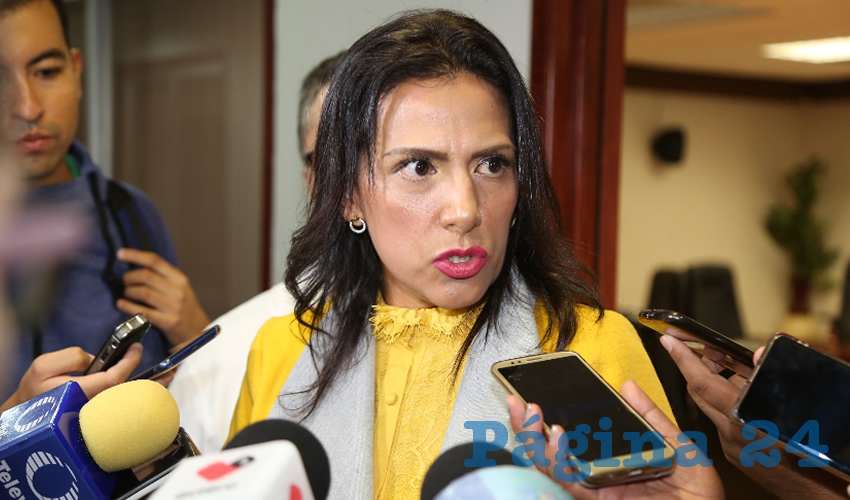 Diputada Karina Banda (Foto: Eddylberto Lu&eacute;vano Santill&aacute;n)