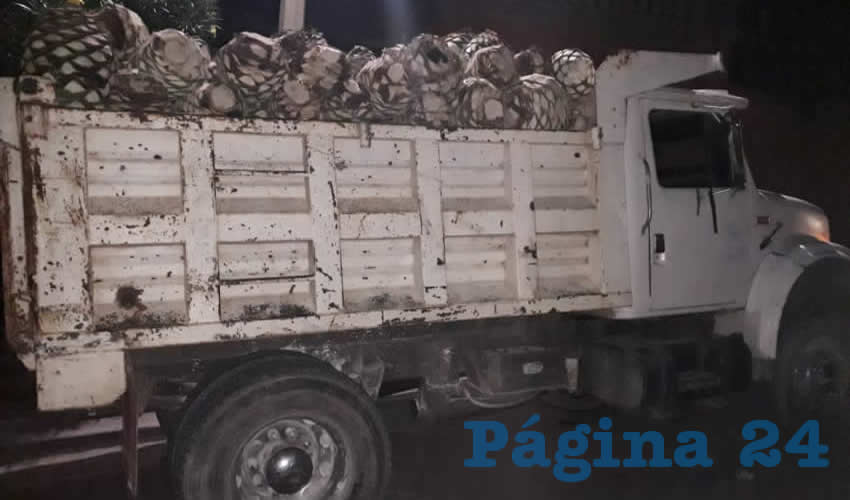 El camion torton con las cinco toneladas de pi&ntilde;a de agave