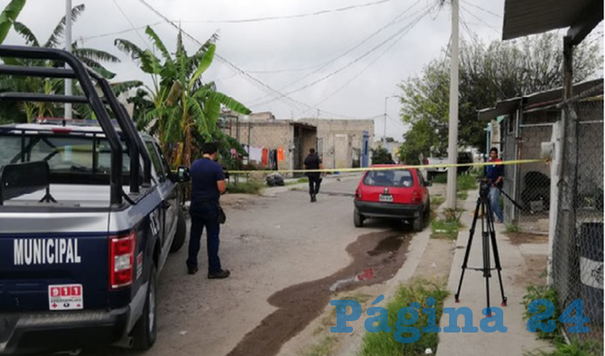 De nueva cuenta otra finca de Tlajomulco era usada por narcos para enterrar a sus víctimas. Ahora, en esta tierra de nadie “gobernada” por la oleada naranja –instaurada por Enrique Alfaro cuando fue presidente municipal (2009-2012)–, la fiscalía de Jalisco encontró 17 bolsas negras en cuyo interior habría 13 cadáveres desmembrados/Foto: Cortesía