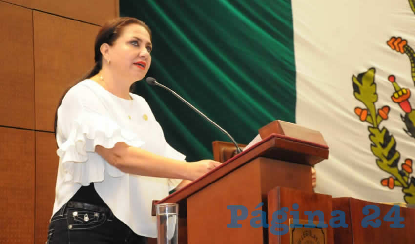 Mónica Borrego Estrada, diputada local por Movimiento Regeneración Nacional (Foto: Merari Martínez Castro)