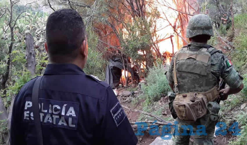 Soldados destruyeron la droga en el mismo sitio donde fue encontrada