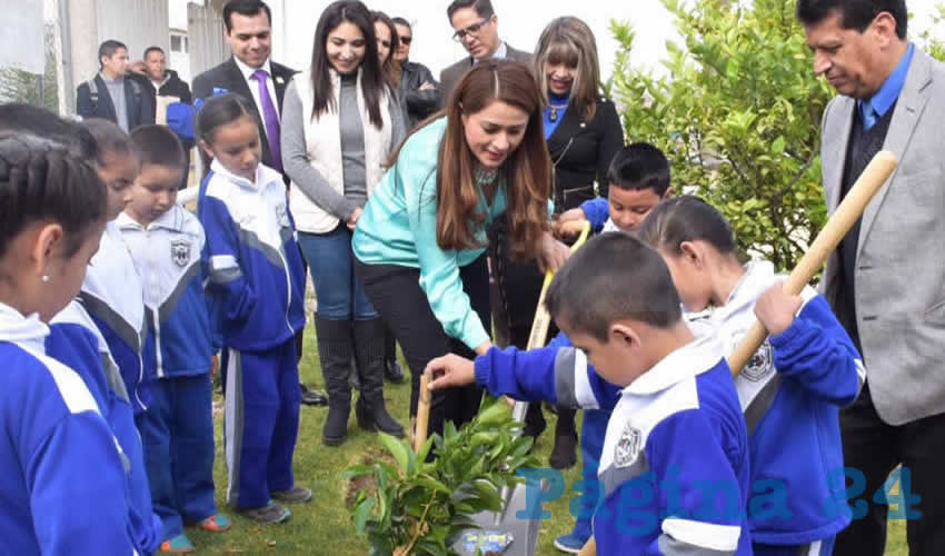En octubre de 2018 el Cabildo declaró el Parque La Pona y 11 hectáreas de la Mezquitera La Pona como primera Área Natural Protegida