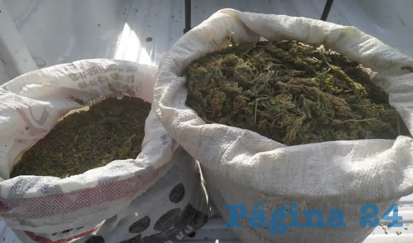 Los dos costales con 12 kilogramos de mariguana