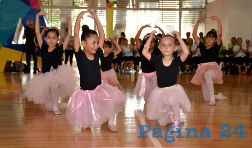 Las disciplinas que se imparten son pilates, step, yoga, pintura textil, futbol, basquetbol, box y taekwondo