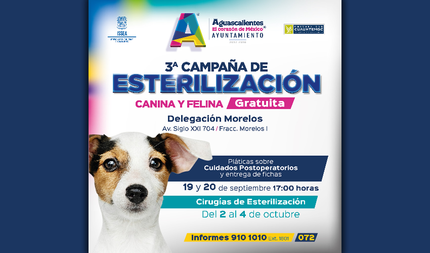 Para realizar el registro de los perros y gatos, los propietarios de las mascotas deben acudir a las pláticas de cuidados pre- y postoperatorios