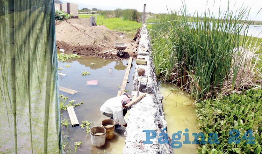 El Lago de Zapotlán es un importante ecosistema que regula la temperatura en los municipios de Zapotlán el Grande, Gómez Farías y Zapotiltic, también es un sitio con gran biodiversidad reconocido internacionalmente; sin embargo, hoy padece por la deforestación y la contaminación/Foto: Cortesía