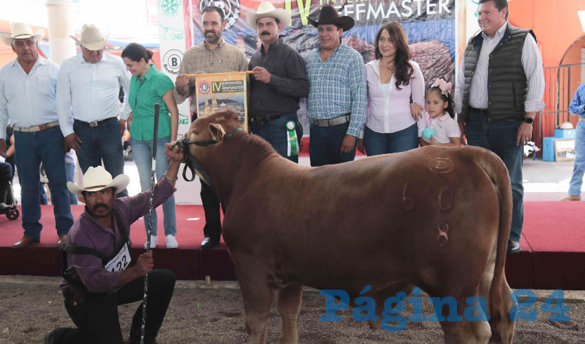 El gobernador felicitó a la familia “Beefmaster” que participó con 300 ejemplares en la exposición de la Feria Nacional de Zacatecas