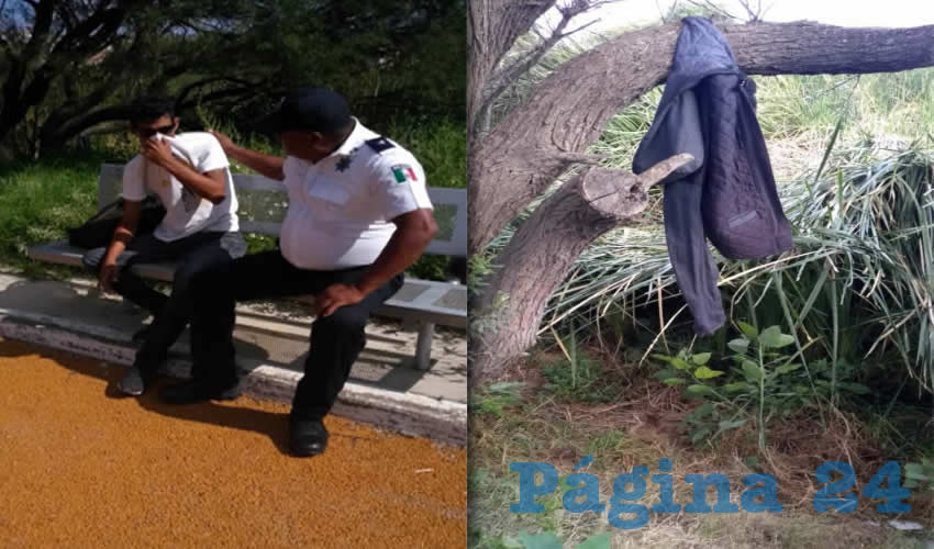Alejandro “N” “N”, de 37 años de edad , fue rescatado por un policía preventivo, quien lo descolgó de un árbol