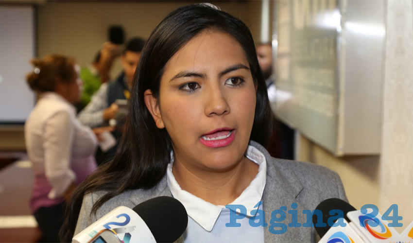 Claudia Guadalupe de Lira Beltr&aacute;n, diputada local (Foto: Archivo) 