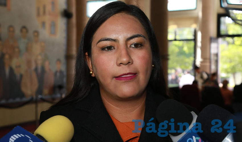 Claudia Guadalupe de Lira Beltr&aacute;n, diputada local (Foto: Eddylberto Lu&eacute;vano Santill&aacute;n)