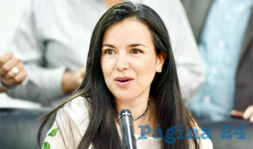 Mirza Flores Gómez, diputada local de MC/Foto: Archivo Página 24