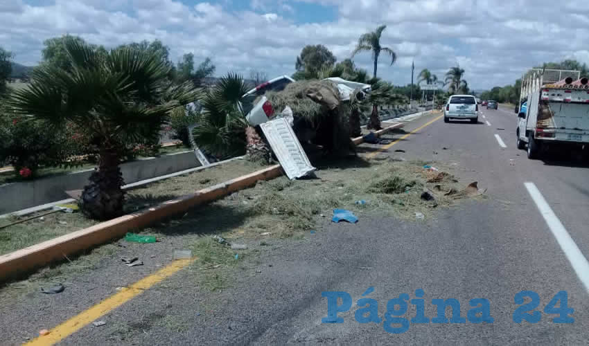 La camioneta Dodge Ram, tras ser estampada en su parte trasera subió al camelló y derribó una palmera