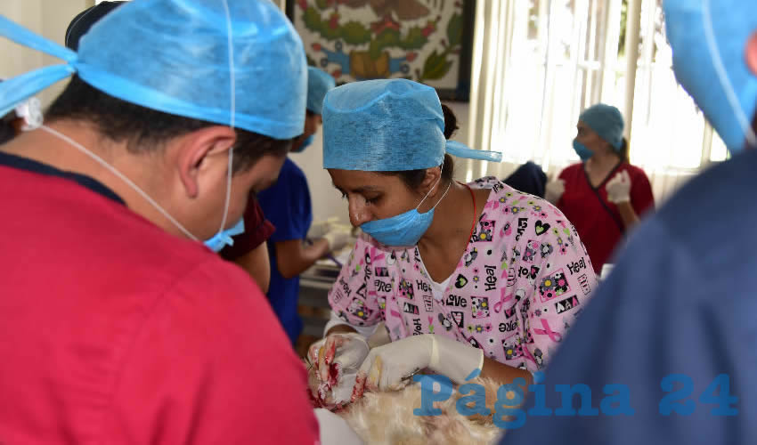 Se realizaron 3 mil 575 cirugías, de las cuales mil 498 fueron gratuitas y otras 2 mil 77 a bajo costo