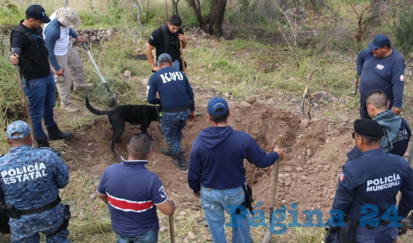 La Unidad Canina K9, procedente de Hidalgo, ayudó en la localización de los restos