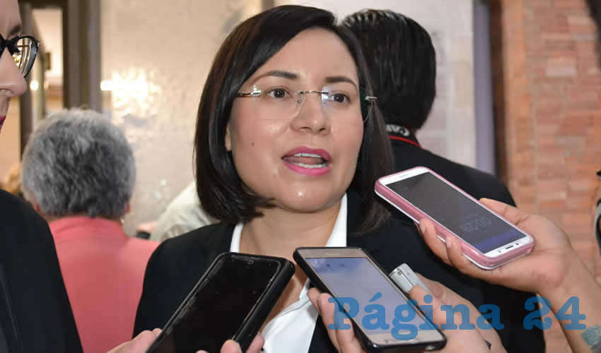 María de la Luz Domínguez Campos, titular de la Comisión de Derechos Humanos del Estado de Zacatecas (CDHEZ) (Foto Archivo Página 24)