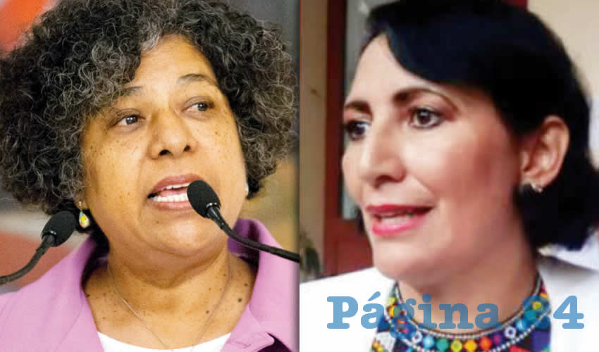 Guadalupe Ramos Ponce dijo que en Jalisco, cuando se instaló el grupo de seguimiento de la alerta de género, la comisionada Candelaria Ochoa cuestionó la presencia de organizaciones civiles, además de que no se presentó a la reunión; además, la funcionaria ha impugnado la alerta de violencia de género en la Ciudad de México y la obstaculiza en zacatecas y en Veracruz/Fotos: Archivo Cuartoscuro y Archivo Página 24