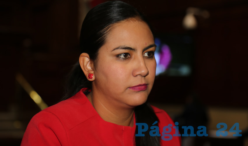 Claudia Guadalupe de Lira Beltr&aacute;n, diputada local (Foto: Eddylberto Lu&eacute;vano Santill&aacute;n)