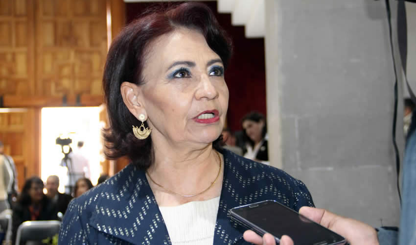 Edelmira Hernández Perea, diputada local por el Partido de la Revolución Democrática (PRD) (Foto: Archivo Página 24)