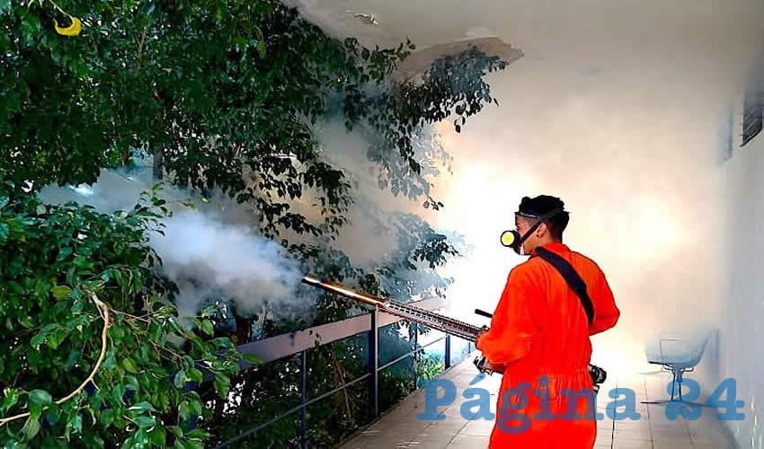 Según Fernando Petersen, secretario de Salud de Jalisco, los 6 mil sobres de insecticida caduco sólo se aplicaron “en aproximadamente 6% de las casas” fumigadas/Fotos: Cortesía y Archivo Página 24