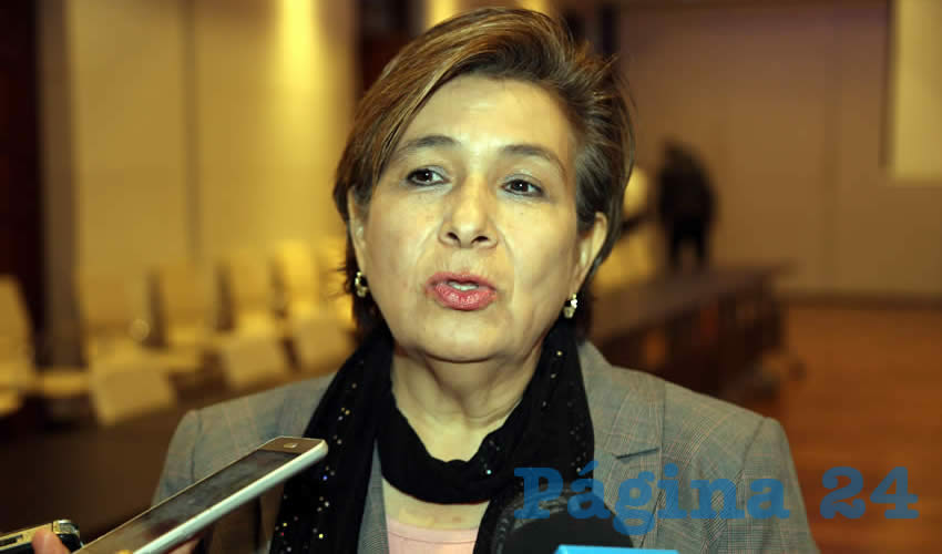 Ana Mar&iacute;a Ruiz Esparza, directora regional Centro-Norte del INEGI (Foto: Eddylberto Lu&eacute;vano Santill&aacute;n)