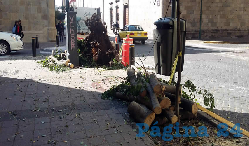 Las papeletas distribuidas por el Centro de la ciudad no son suficientes para albergar la basura, por el contrario, solo entorpecen la labor ya que por pequeñas es poco lo que realmente le cabe. En cuanto a los puntos limpios, varios de estos ni siquiera son utilizados como tal/Fotos: Francisco Tapia