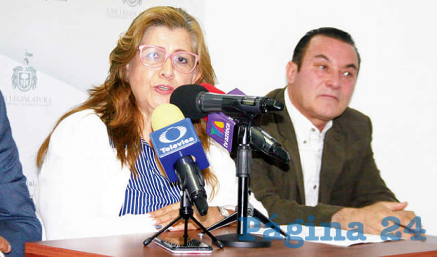 La presidente estatal del PAN pidió al gobernador Enrique Alfaro que se implementen cuanto antes los protocolos en la materia, debido a los contagios y defunciones registrados hasta el momento por la picadura del mosquito: “Que sea sensible a todas las denuncias que se han dado”/Foto: Archivo Página 24