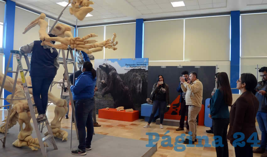 La directora del Zig-Zag, María Luisa Valenzuela y el paleontólogo y asesor científico de la exposición, Rubén Guzmán, presentaron el montaje de la exhibición de la mega fauna que vivió en el territorio que hoy ocupa la República Mexicana durante la época del Pleistoceno en la edad de hielo.