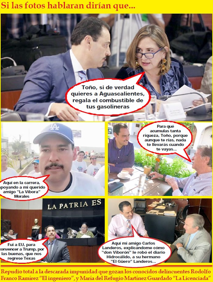 (Fotos: Archivo/P&aacute;gina 24)