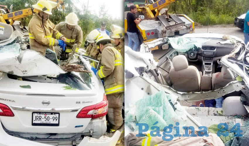 El automotor salió de la carpeta asfáltica y chocó contra un árbol/Fotos: Especial