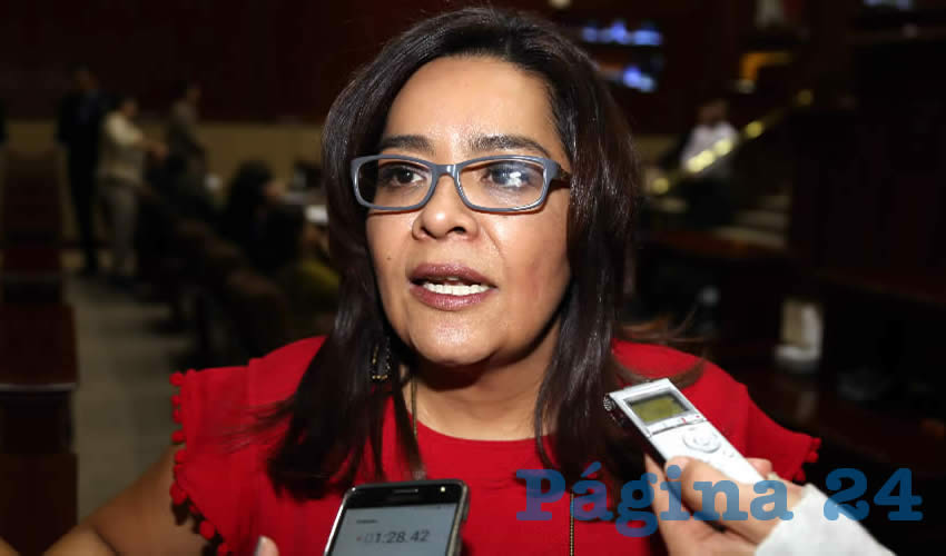 Elsa Amabel Land&iacute;n Olivares, diputada local (Foto: Archivo)