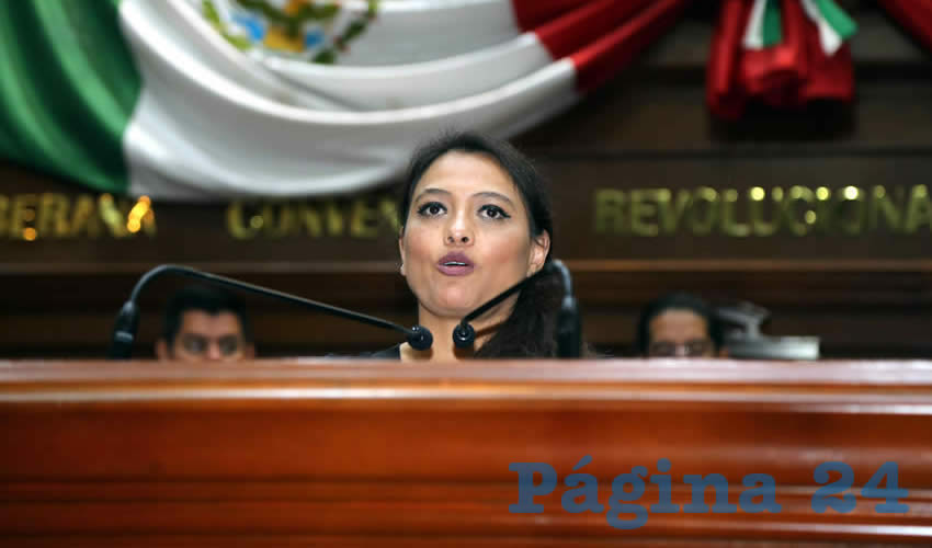 Érica Palomino Bernal