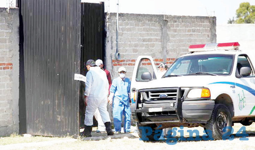 La finca fue localizada el pasado 7 de noviembre gracias a acciones de la Guardia Nacional/Foto: Especial