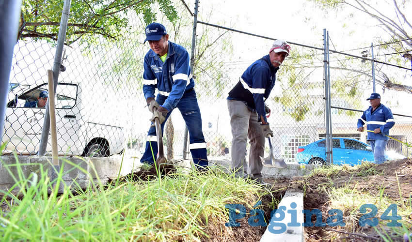 Las cuadrillas de trabajadores de la Direcci&oacute;n de Parques y Jardines realizan labores de mantenimiento y conservaci&oacute;n de &aacute;reas p&uacute;blicas municipales