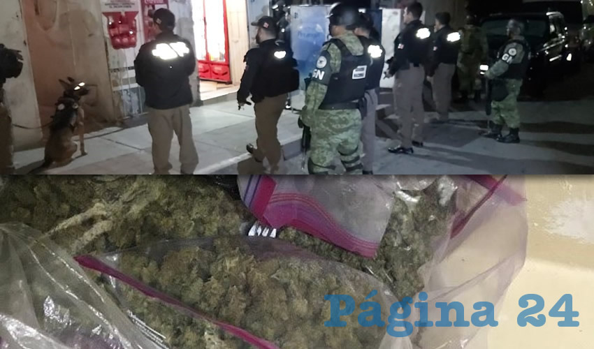 La tienda de abarrotes dedicaba también a la venta de la yerba | Parte de la droga localizada por las autoridades federales