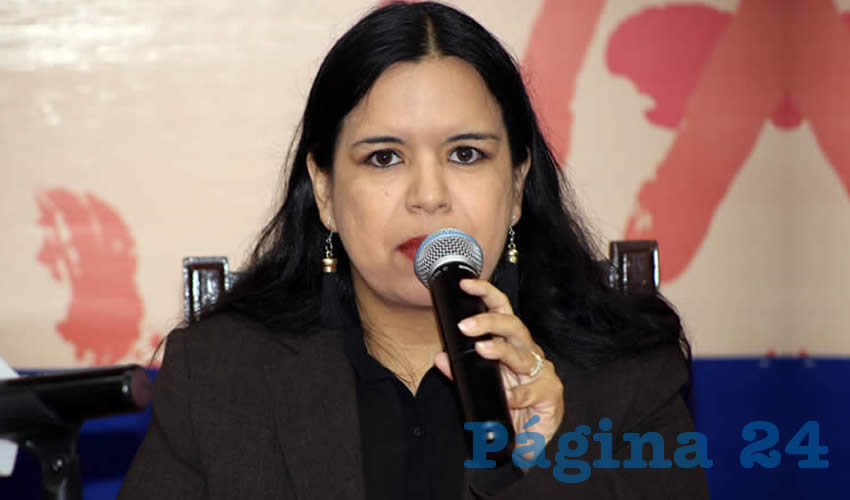 Violeta Sab&aacute;s D&iacute;az de Le&oacute;n, coordinadora general del OVSGA (Foto: Eddylberto Lu&eacute;vano Santill&aacute;n)