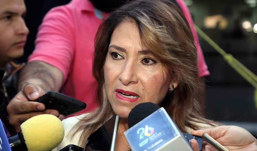 Lourdes Carmona Aguiñaga, directora de Servicios Educativos del IEA (Foto: Archivo)