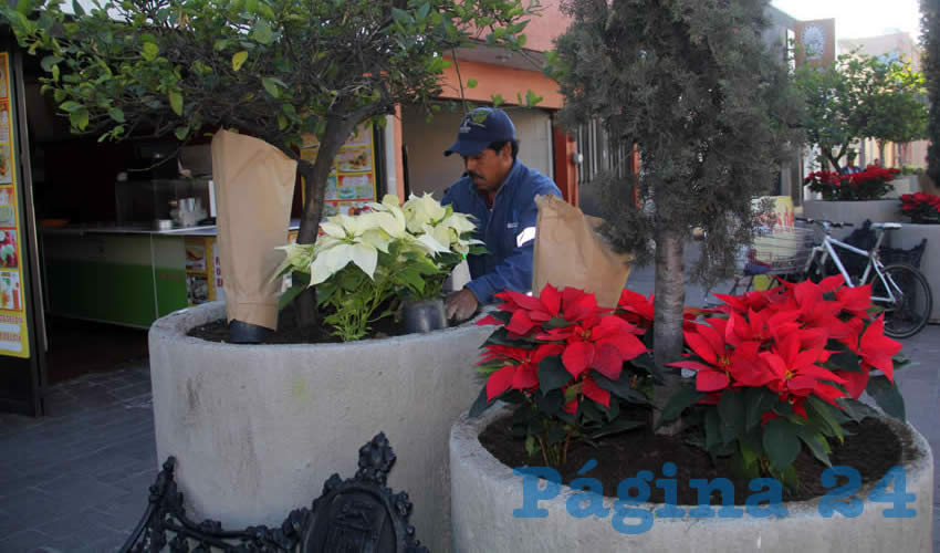 La decoraci&oacute;n y embellecimiento de los espacios p&uacute;blicos de la ciudad se lleva a cabo con el fin de fortalecer la convivencia familiar