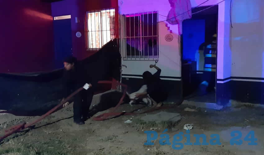 Carla Fernanda Romero Hern&aacute;ndez, de 20 a&ntilde;os de edad, quien fue esposada por interferir en las labores de las autoridades