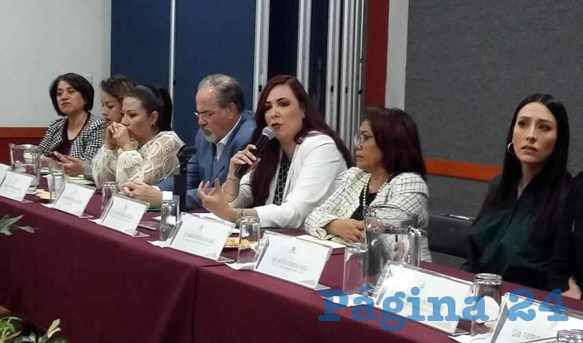 La puesta en marcha del CEDAW permitirá vigilar el cumplimiento de las recomendaciones en materia de derechos sexuales y reproductivos; además de no discriminar, busca modificar el papel tradicional de hombres y mujeres en la familia y en la sociedad, detalló Sofía García/Foto: Francisco Tapia