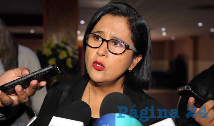 Adriana Jurado Valadez, titular del SIPINNA (Foto: Eddylberto Lu&eacute;vano Santill&aacute;n)