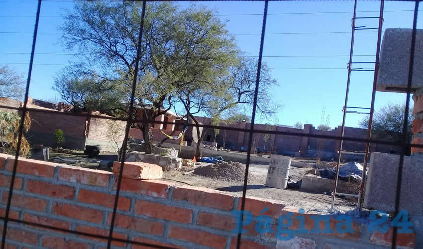 En un árbol de la comunidad Macario J. Gómez, se colgó José Alberto “N” “N”, de 27 años de edad