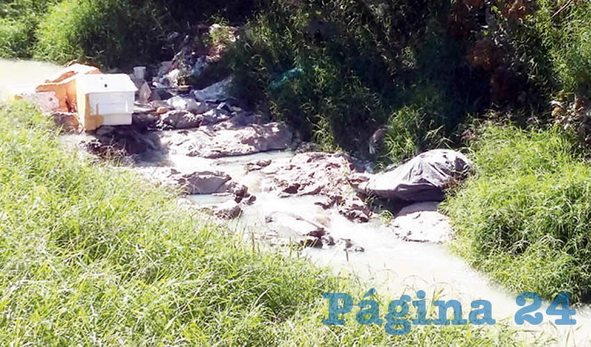 Hay calles repletas de basura que los mismos vecinos han generado; sin embargo se requiere una “mano” de la autoridad municipal para mantener aseado y hacer valer el reglamento/Foto: Francisco Tapia