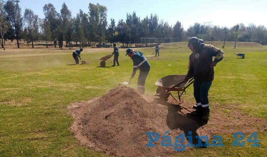 El personal de la Dirección de Parques y Jardines se ha dado a la tarea de verter abono en áreas verdes para resguardarlas del frío