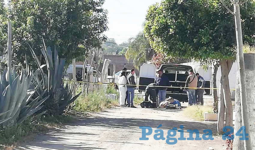 Las partes humanas fueron tiradas a la mitad de la calle Jesús Peña y Pio Solis, en la colonia Educadores Jaliscienses/Fotos: Especial