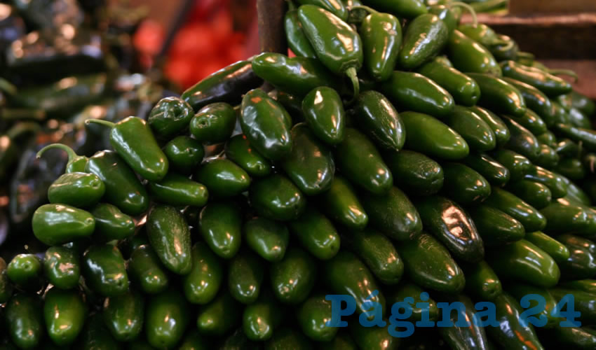 Ahora tambi&eacute;n se busca comercializar el chile en salsas y conservas (Foto: Archivo/ Rodolfo Angulo/ Cuartoscuro)