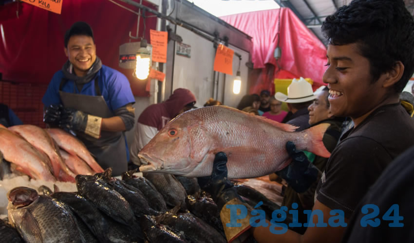 Es necesario revisar que los productos se encuentren en las mejores condiciones (Foto: Archivo/ Isaac Esquivel/ Cuartoscuro)